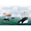 My Little Golden Book About Whales - Book - Paracay