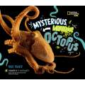 Mysterious, Marvelous Octopus - Book - Paracay