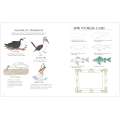 Ocean Anatomy  Activity Book - Book - Paracay