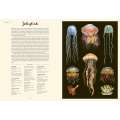 Oceanarium: Welcome to the Museum - Book - Paracay