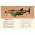 Oceanarium: Welcome to the Museum - Book - Paracay