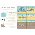 Stones and Bones - Book - Paracay