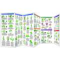 Edible Wild Plants (Folding Pocket Guide)