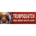 Trumpsquatch - Vinyl Bumper Sticker - Paracay