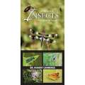 A Field Guide To Insects Of The Pacific Northwest - Book - Paracay