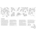 Fairy Tales & Folklore Coloring Book - Book - Paracay