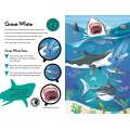 Fantastic Fearsome Sharks (STEM Book + Model Kits) - Book - Paracay