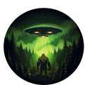 BF Abduction - Vinyl Sticker (1 STICKER) - Paracay
