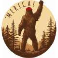 MERICA! - Vinyl Sticker (1 STICKER) - Paracay