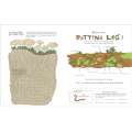 Julia-Rothman'S-Nature-Anatomy-Activity-Book-Book