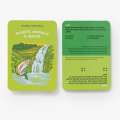 National Parks Trivia: A Card Game - Book - Paracay