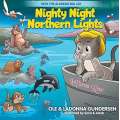 Nighty Night Northern Lights - Book - Paracay