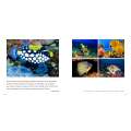 The Sea - Book - Paracay