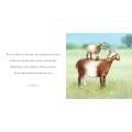 Why A Son Needs A Dad - Book - Paracay