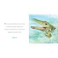 Why A Son Needs A Dad - Book - Paracay