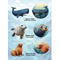 Pacific Northwest Marine Animal - Sticker Book - Paracay