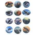 Pacific Northwest Marine Animal - Sticker Book