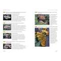 Mushrooms of Cascadia - Book - paracay
