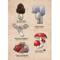 Mushrooms of the Pacific Northwest - Sticker Book - ParacayMushrooms of the Pacific Northwest - Sticker Book - Paracay