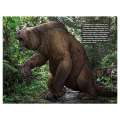 Cryptids - 2025 - Calendar - Paracay