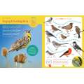 Backpack Explorer: Bird Watch - Book - Paracay