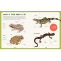 Backpack Explorer: Spotting Snakes And Frogs, And Other Reptiles And Amphibians - Book - Paracay