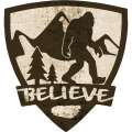 Believe Shield - Vinyl Sticker (1 STICKER) - paracay
