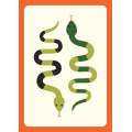 Campsite Games - Book - Paracay
