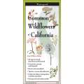Common Wildflowers Of California  - Book - Paracay
