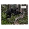 Bigfoot Revealed - 2025 - Calendar - Paracay