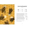 Insectorama: The Marvelous World Of Insects  - Book - Paracay
