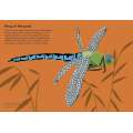 Insectorama: The Marvelous World Of Insects  - Book - Paracay