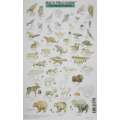 Mac'S Field Guide To Alaskan Wildlife - Book - Paracay