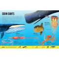 My First Oceans Atlas - Book - Paracay