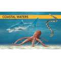 Ocean Creatures: A Spotter'S Guide - Book - Paracay