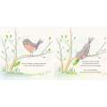 Papilio - Book - Paracay