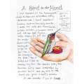 The Backyard Bird Chronicles - Book - Paracay