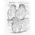 The Backyard Bird Chronicles - Book - Paracay