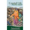 The Coastal Life Of The Pacific Coast - Book - Paracay