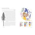 Trees of the West: An Artist's Guide - Book - Paracay