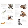Wild, Wonderful Tattoo Woodland Animals: 60 Temporary Tattoos That Teach - Book - Paracay