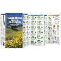 California Trees & Wildflowers - Folding Pocket Guide - Paracay
