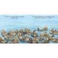 Good Night Sea Otters - Board Book - Paracay