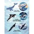Pacific Northwest Marine Animal - Sticker Book - Paracay