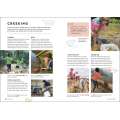 1000 Hours Outside - Book - Paracay