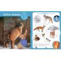 Backpack Explorer: Winter Walk - Book - Paracay