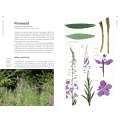 Edible Plants Of The Pacific Northwest - Book - Paracay