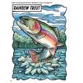 Fantastic Game Fish Of North America - Book - Paracay