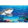 Finn'S First Song: A Whaley Big Adventure - Book - Paracay