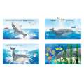 Finn'S First Song: A Whaley Big Adventure - Book - Paracay